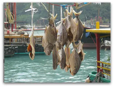 Aberdeen Fishing Village - Seafood Catch