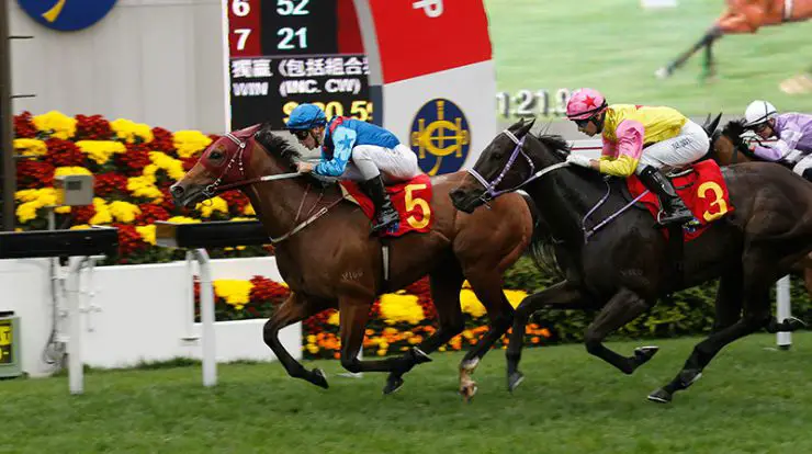 The Hong Kong Chinese New Year Horse Race Meeting at Sha Tin Chinese New Year Cup