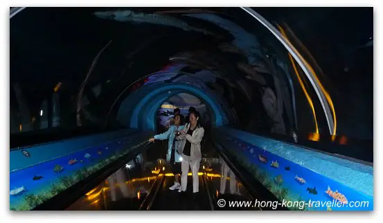 Chinese Sturgeon Tunnel Ocean Park