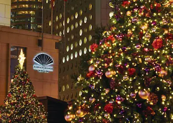 Mandarin Oriental and Christmas Trees