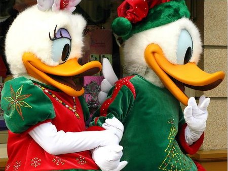 Donald and Daisy at the Character Greetings in HK Disney at Christmas Time