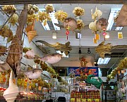 Dried Seafood Market Tai O