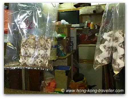 Hong Kong Bird Market 