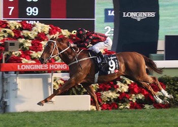 The Hong Kong International Races