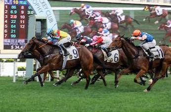 Hong Kong Chinese New Year Horse Races Tour