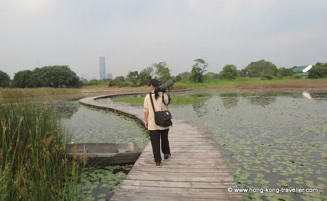 Birdwatcher with scope at the Mai Po Marshes