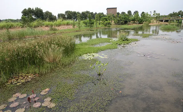 Hong Kong Wetland Park in the New Territories