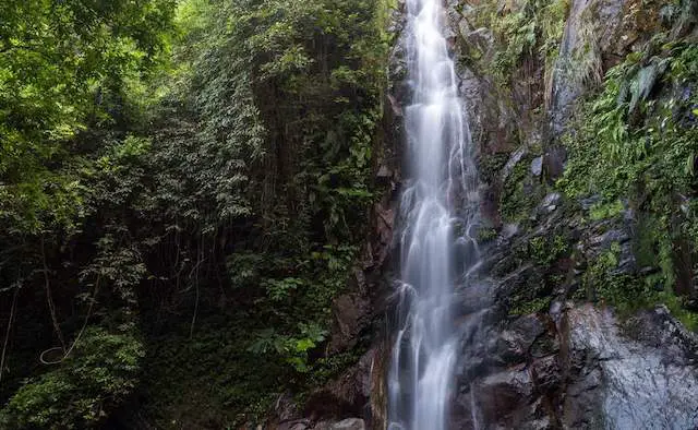 Tai Mo Shan Waterfall Hike