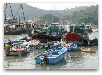 Tai O Harbour