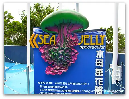 Jelly Fish Aquarium Ocean Park