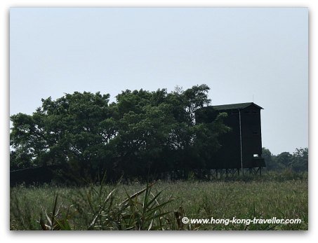 Mai Po Nature Reserve Bird Hides