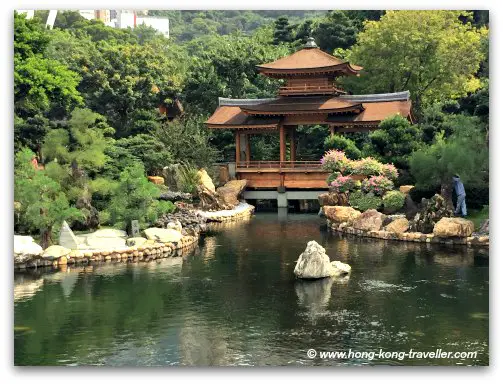 Nan Lian Garden and 4 elements of Classical Chinese Garden: Rocks, Water, Plants, Architecture