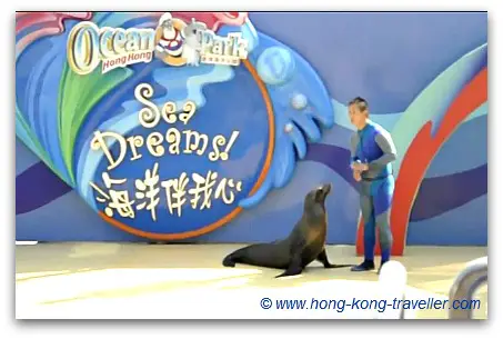 Ocean Park Dolphin and Sea Lion Show