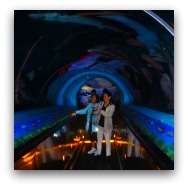 Ocean Park Highlights: Sturgeon Tunnel