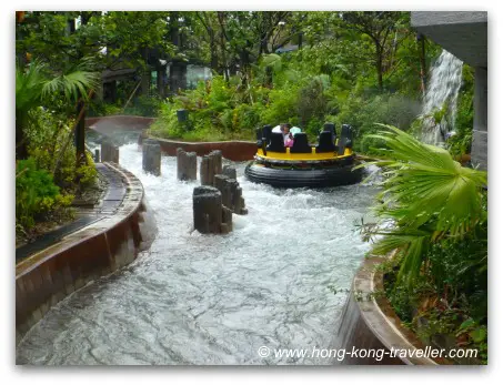 The Rainforest at Ocean Park