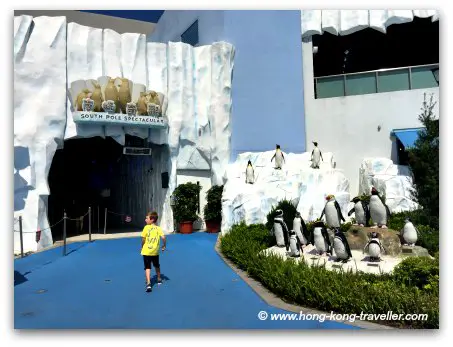 Ocean Park South Pole Spectacular, this is where the Penguins are!