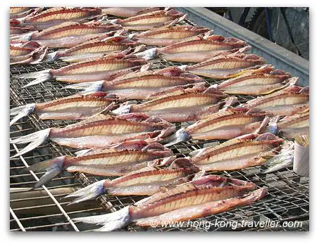 Hong Kong Seafood And Fish Markets