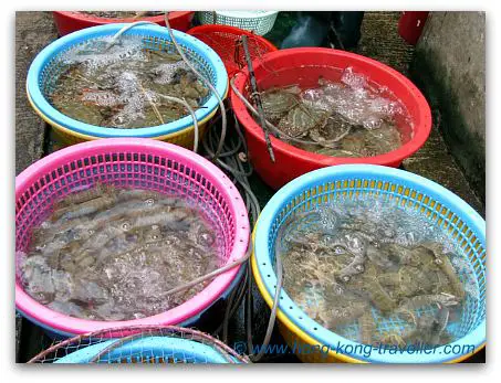 Hong Kong Seafood And Fish Markets