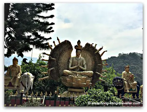 More Buddha statues in the terrace